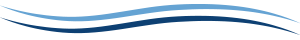 wave icon